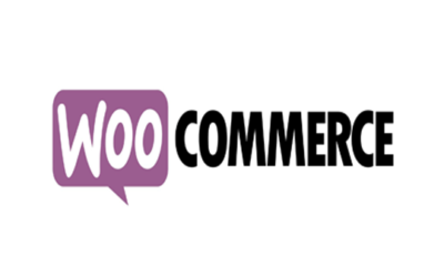 How to use WooCommerce with PT Distinction