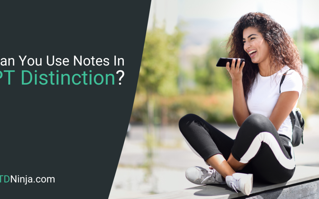 Can You Use Voice Notes In PT Distinction?