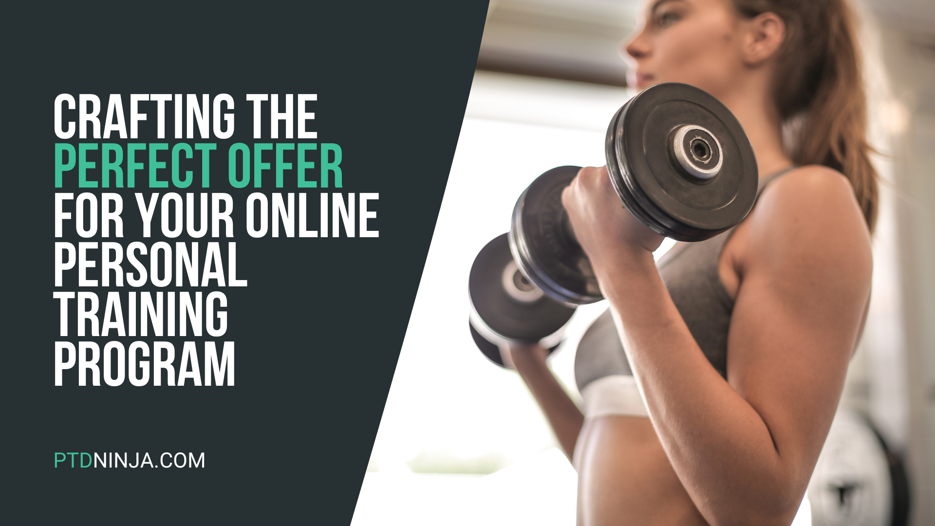 Crafting the Perfect Offer for Your Online Personal Training Program: A Step-by-Step Guide<br />
